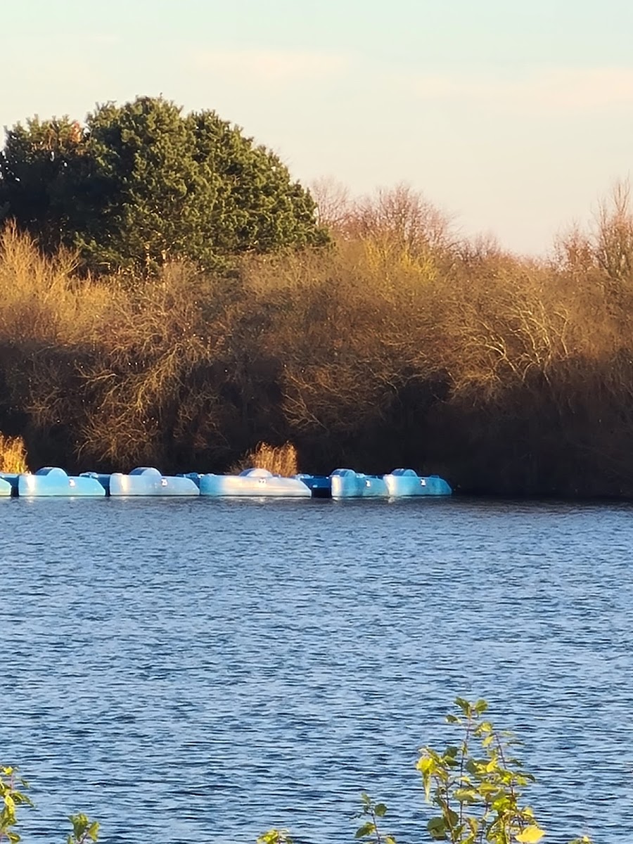 Fairlop Waters Boat Hire