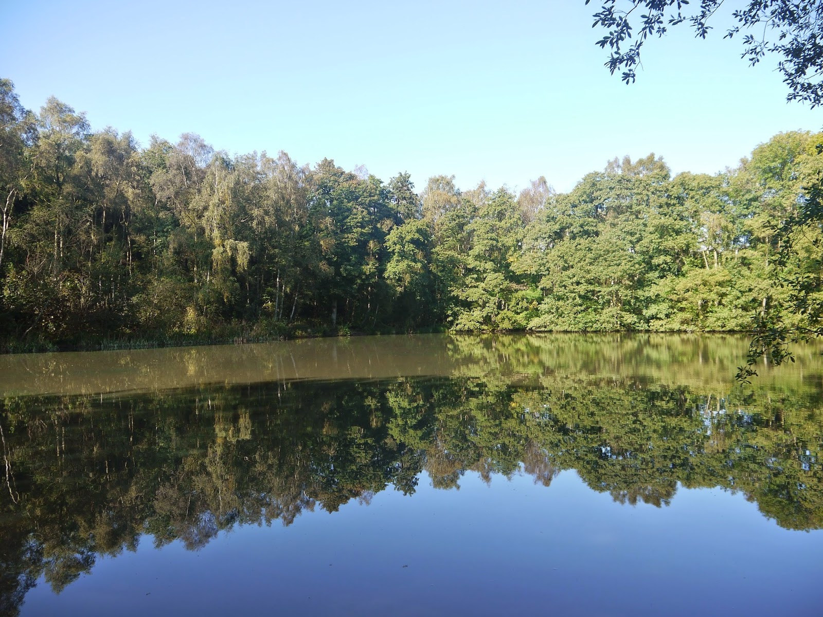 Tees Valley Lakes