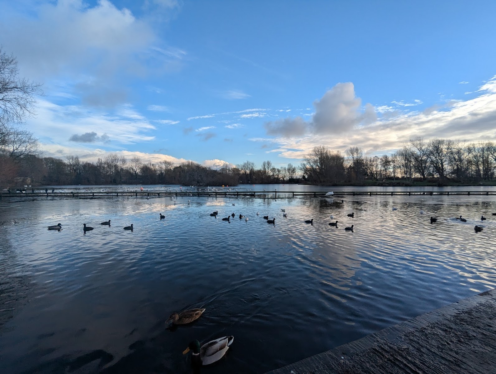 Stanley Park Boating Lake