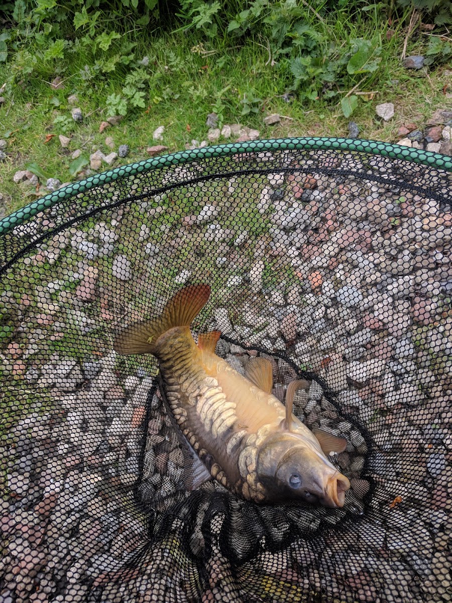 Hopton Waters