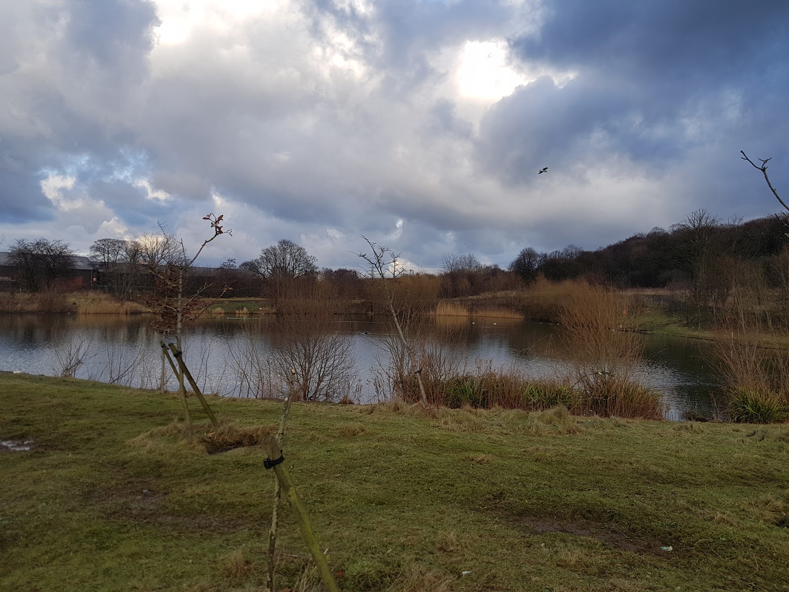 Ladywood Lakes Fishery