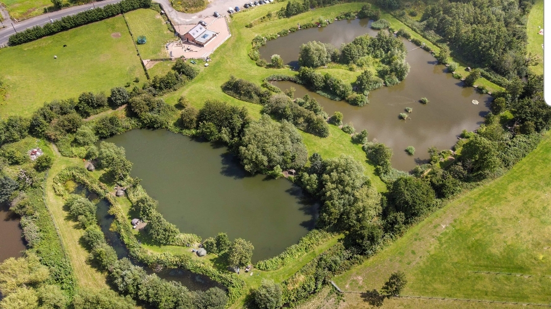 Elm Tree Farm Fishery