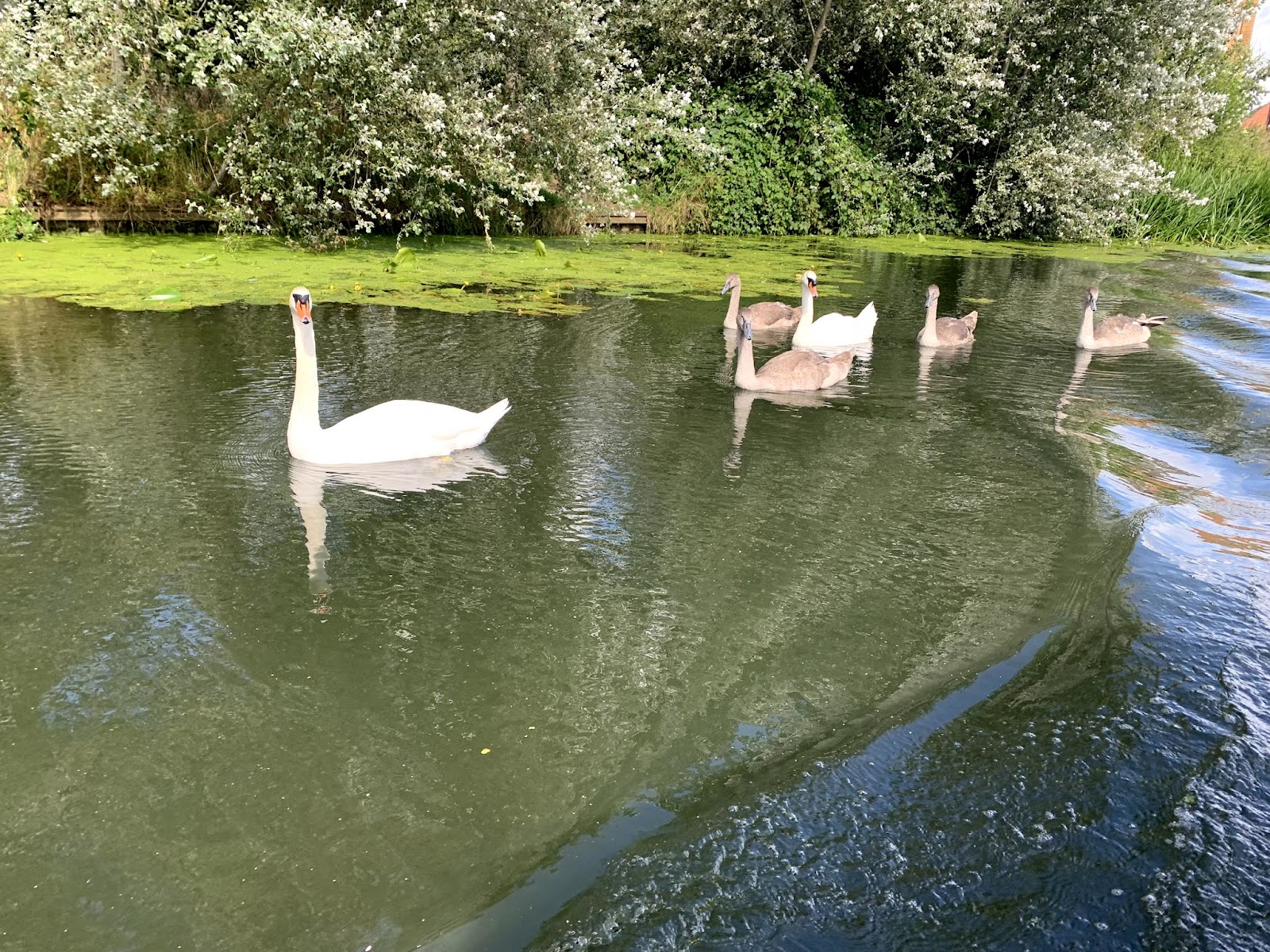 Burton Waters Experiences
