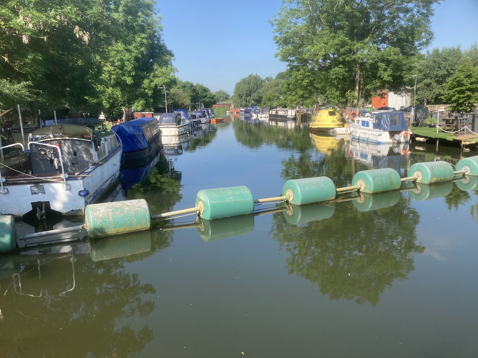 Willy Watt Marina