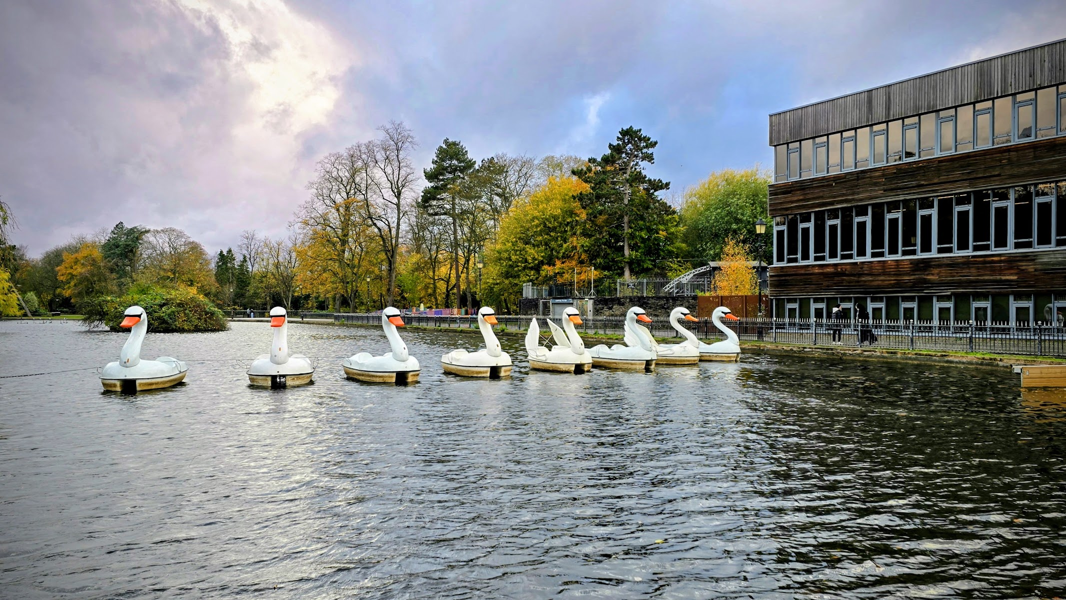 Swan Lake Boating