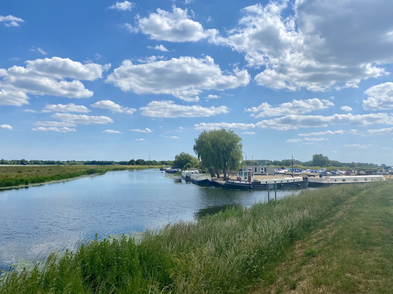 Fish & Duck Marina