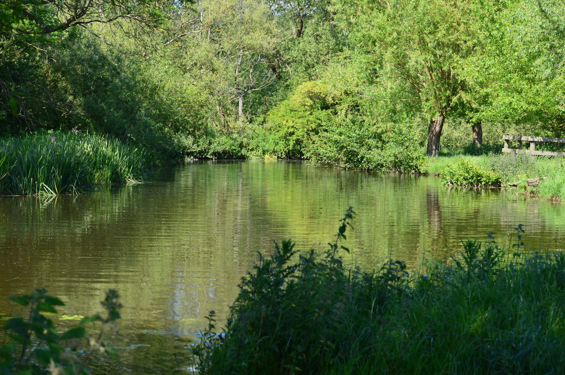 Dedham Rowing Boat Hire