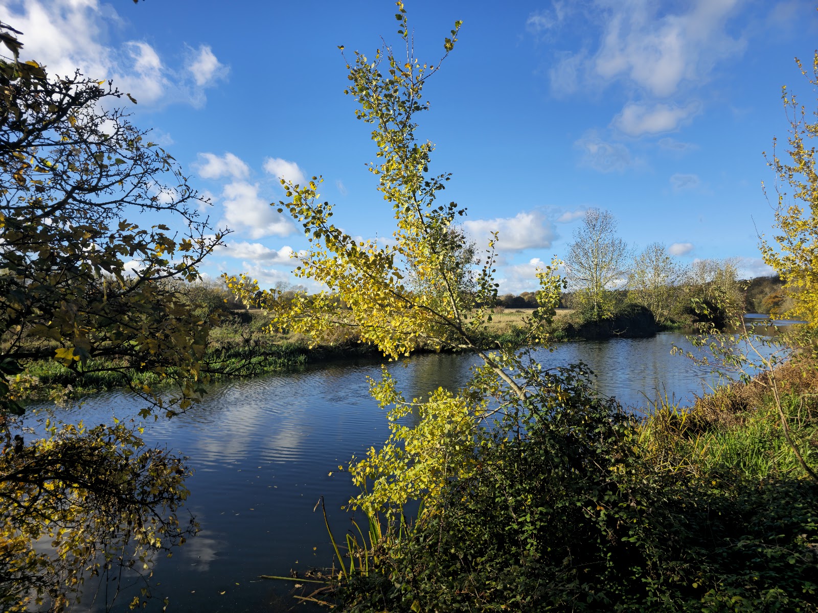 Nene Park Boat Trip