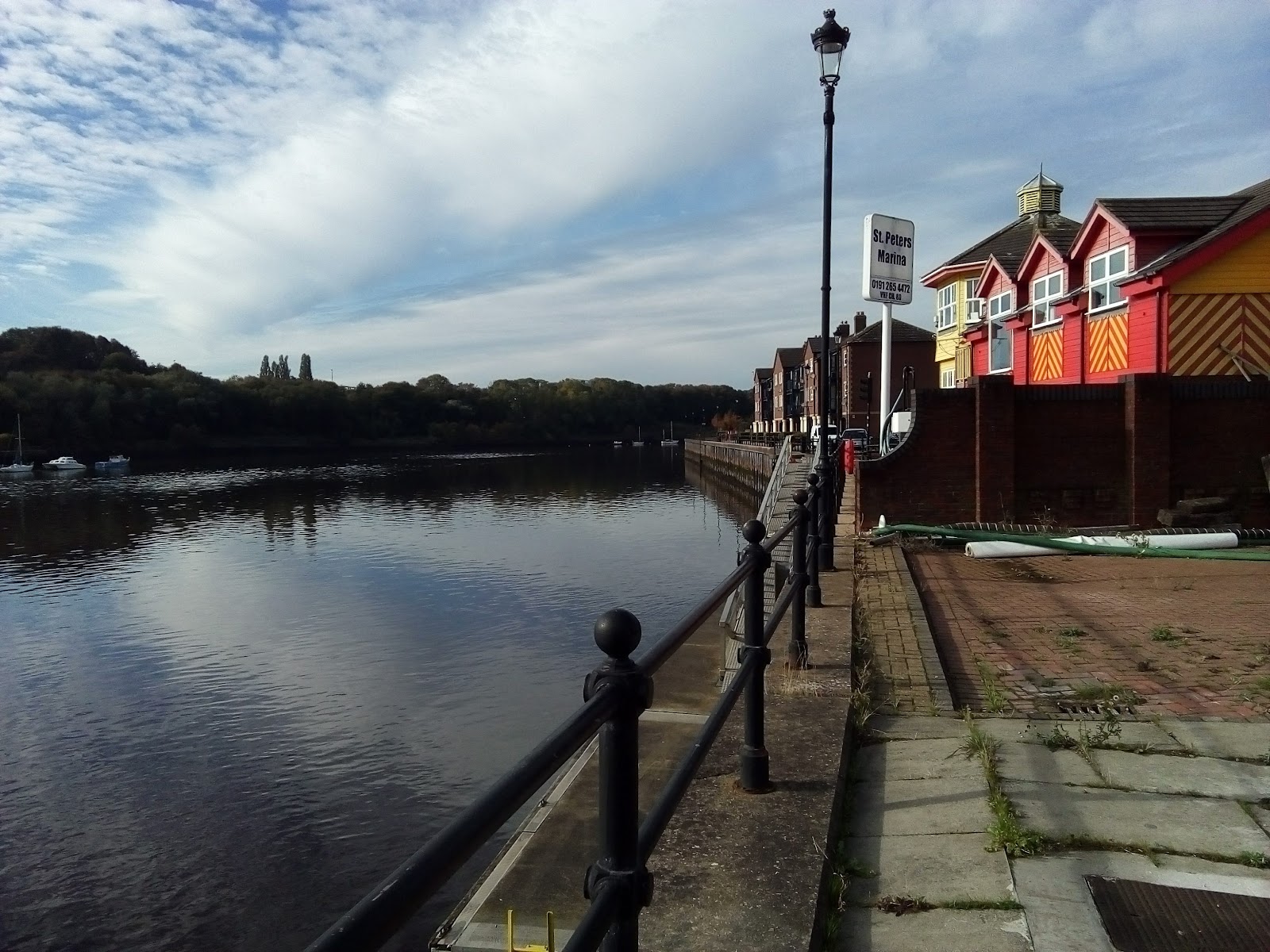 River Tyne Sea Fish Stretch
