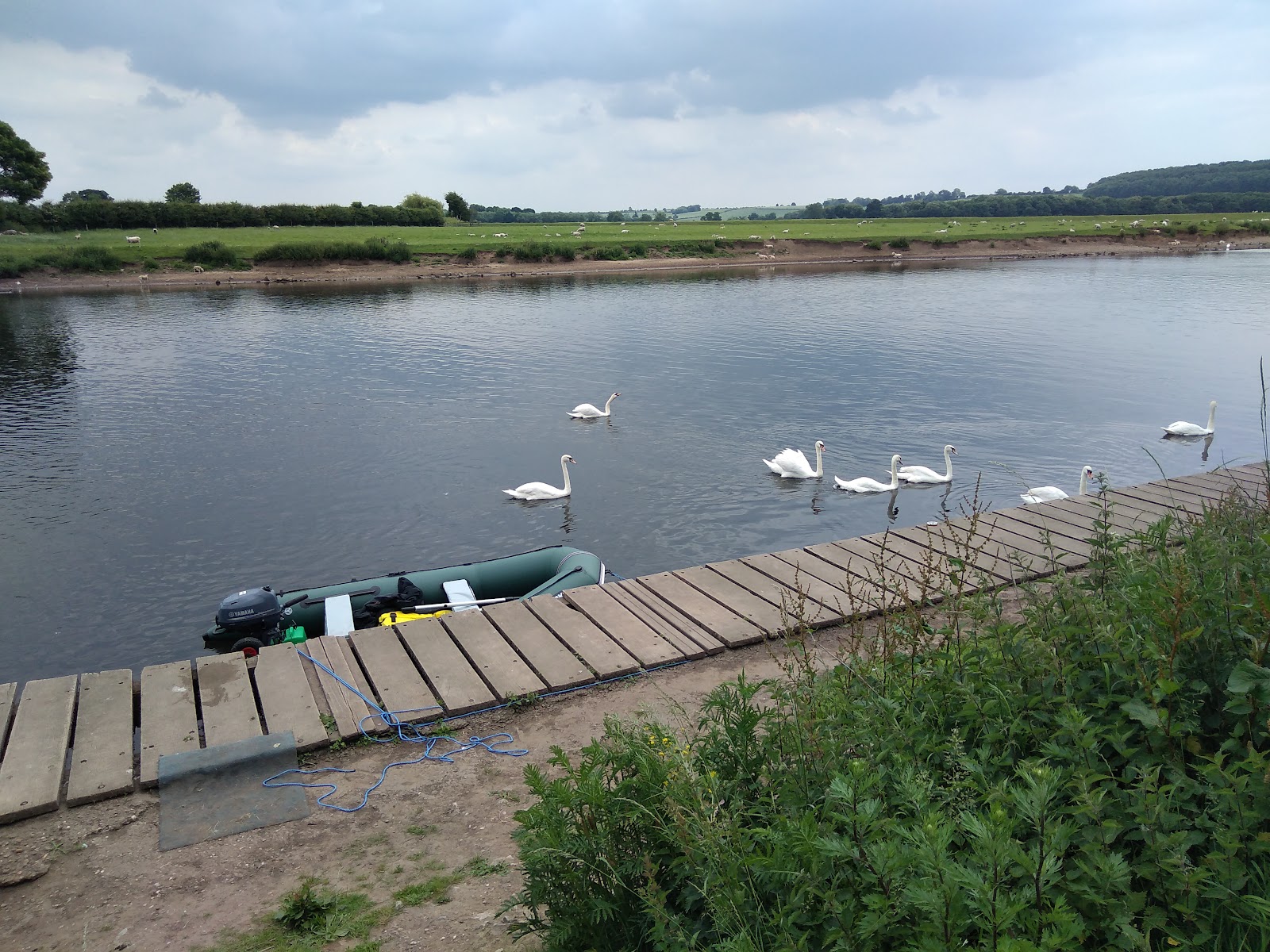 Kingfisher Wharf Ltd