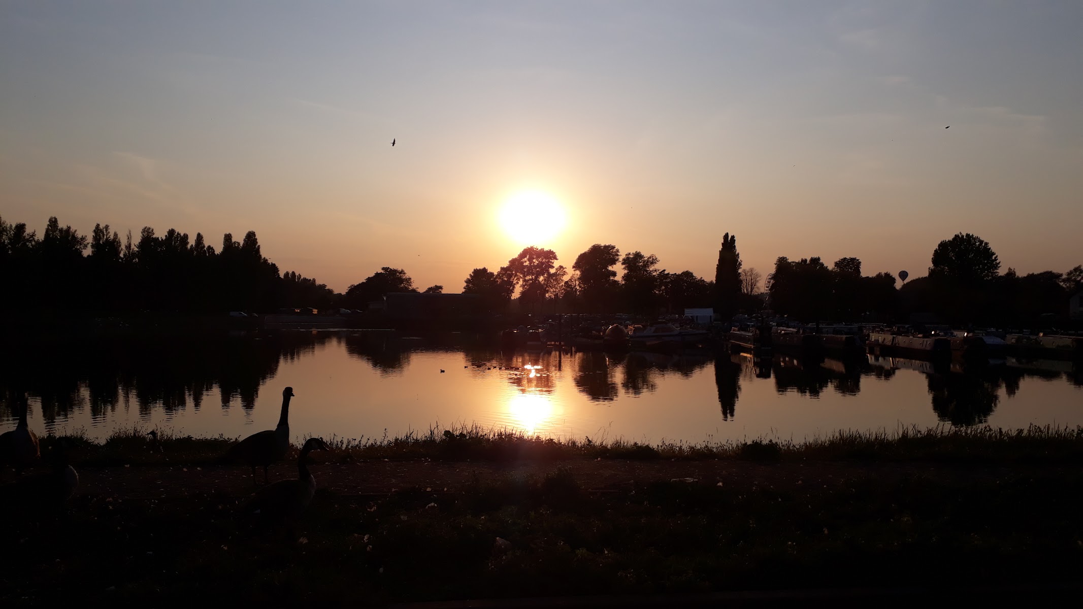 Billing Marina