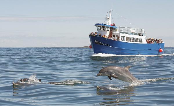 Billy Shiel's Boat Trips
