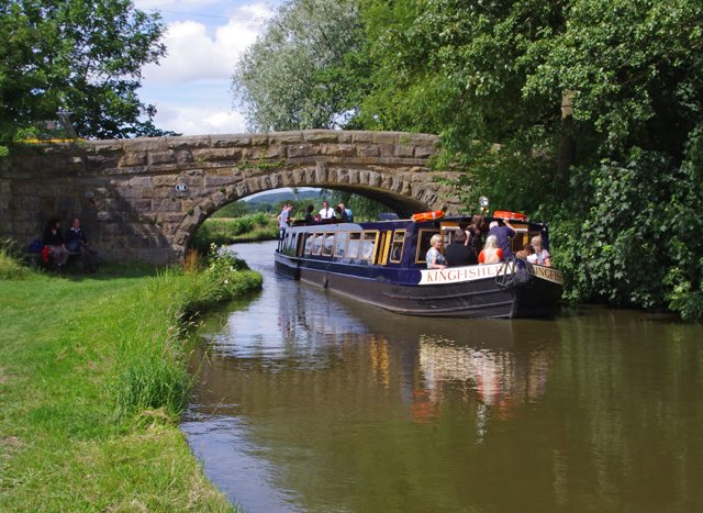 Kingfisher Cruises