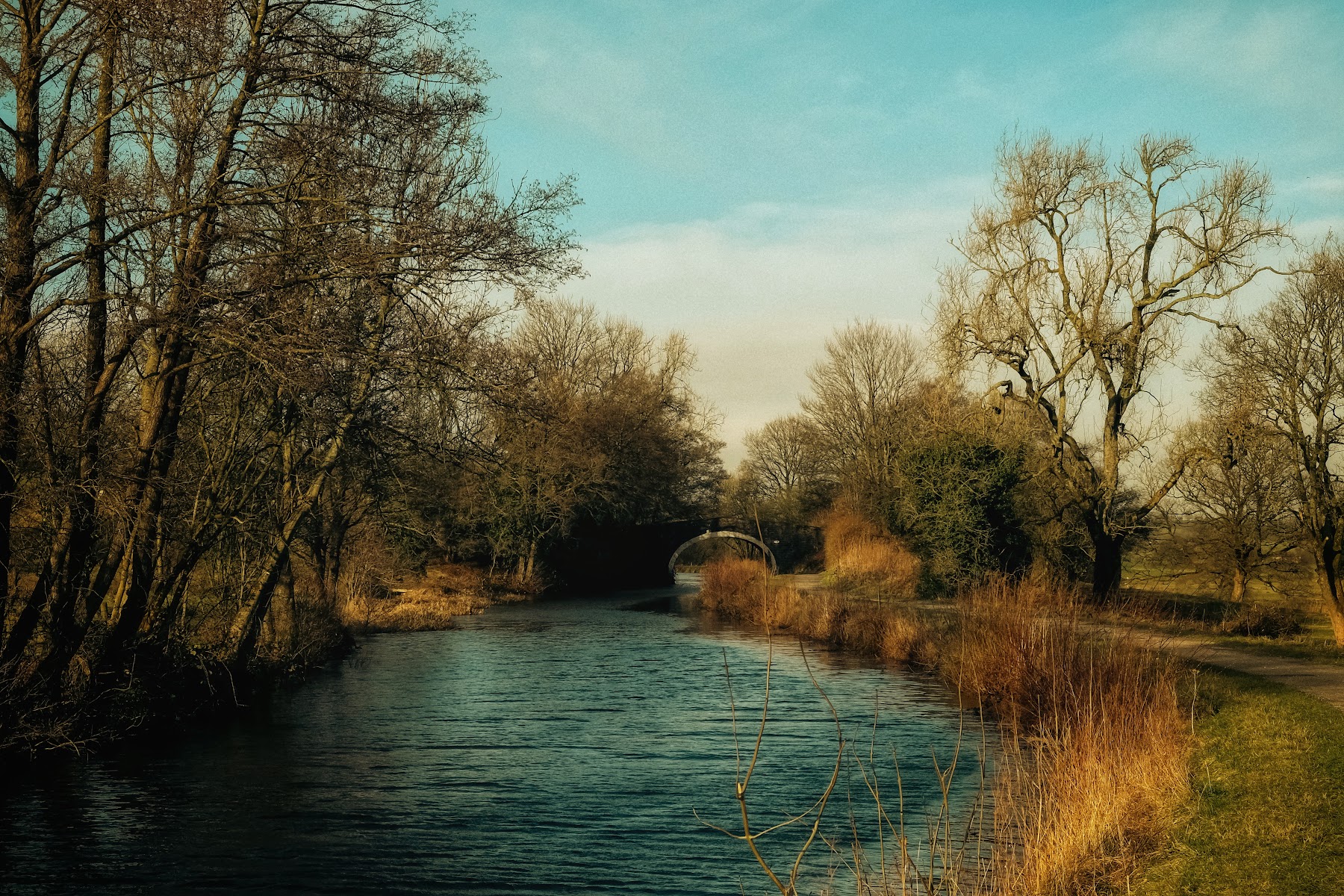 Foulridge Canal Cruises