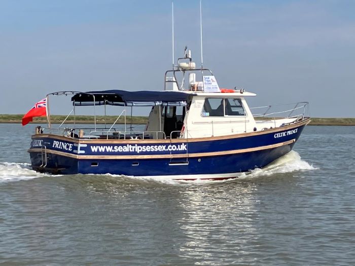 Seal Trips Essex