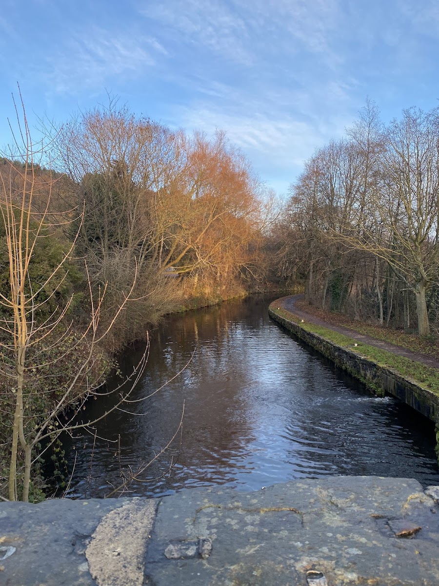 Huddersfield Broad Canal