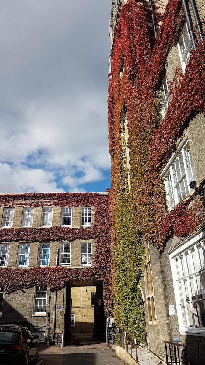 Cambridge SU