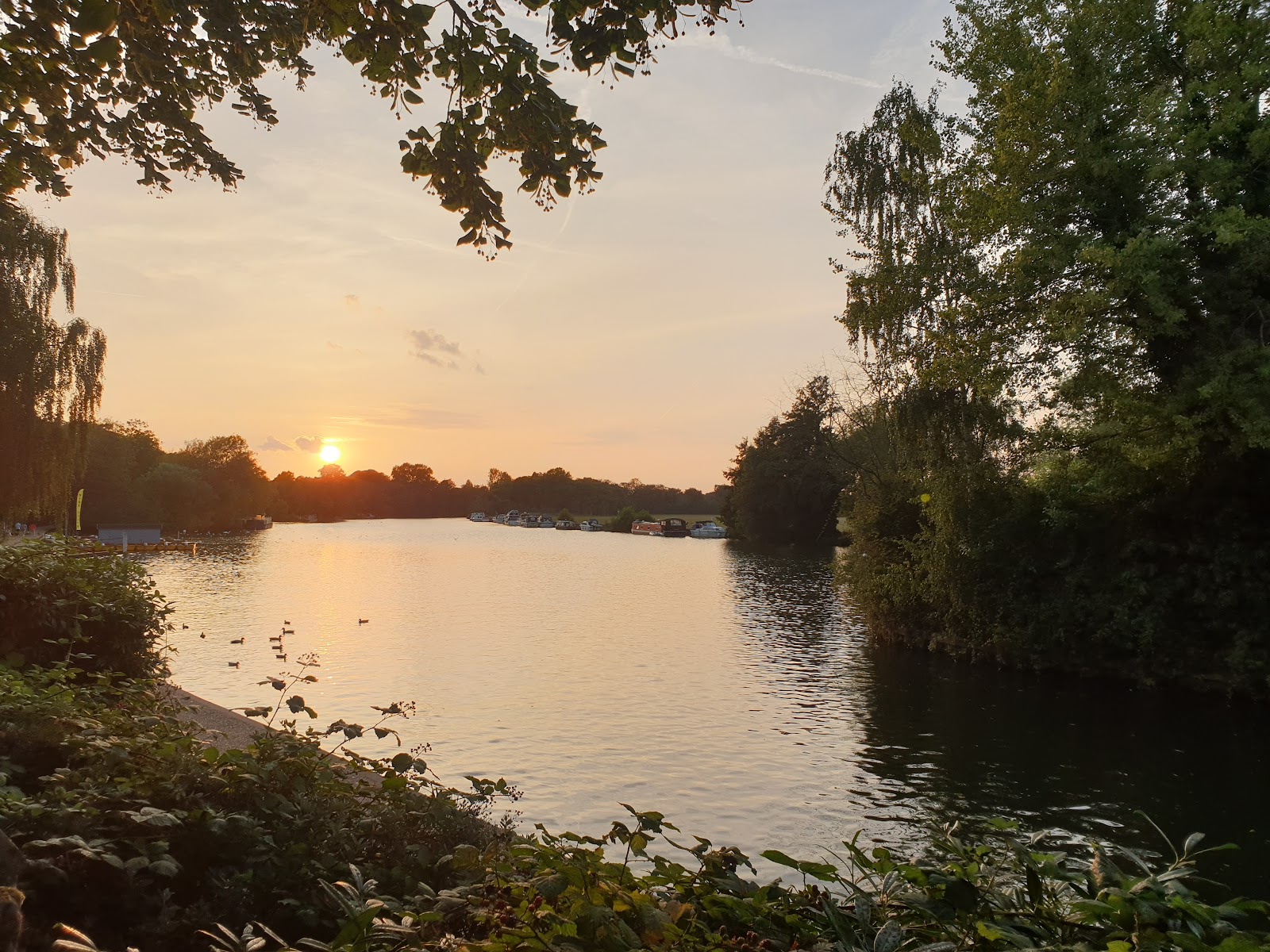 River Thames Windsor