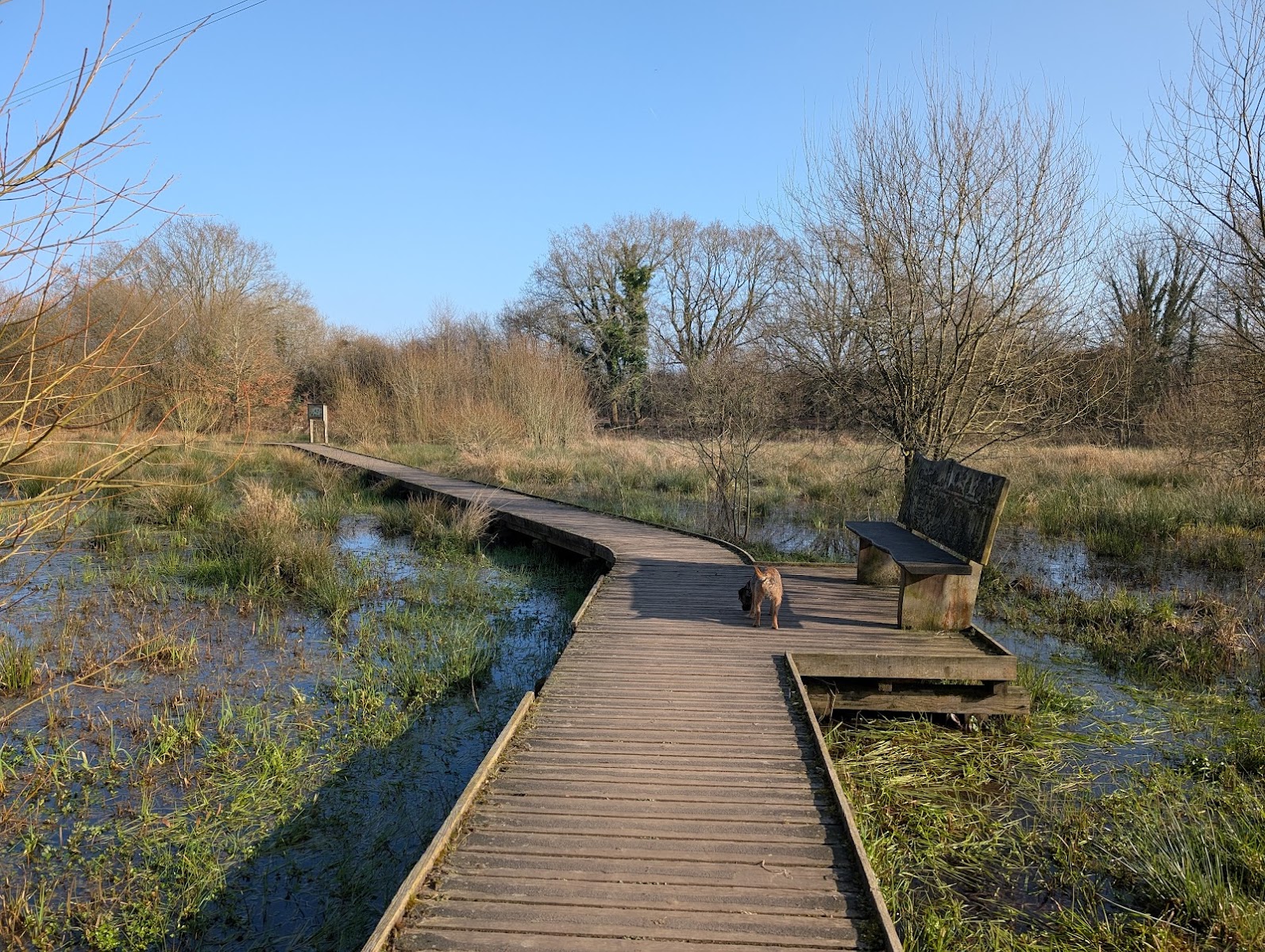 Riverside Park Nature Reserve