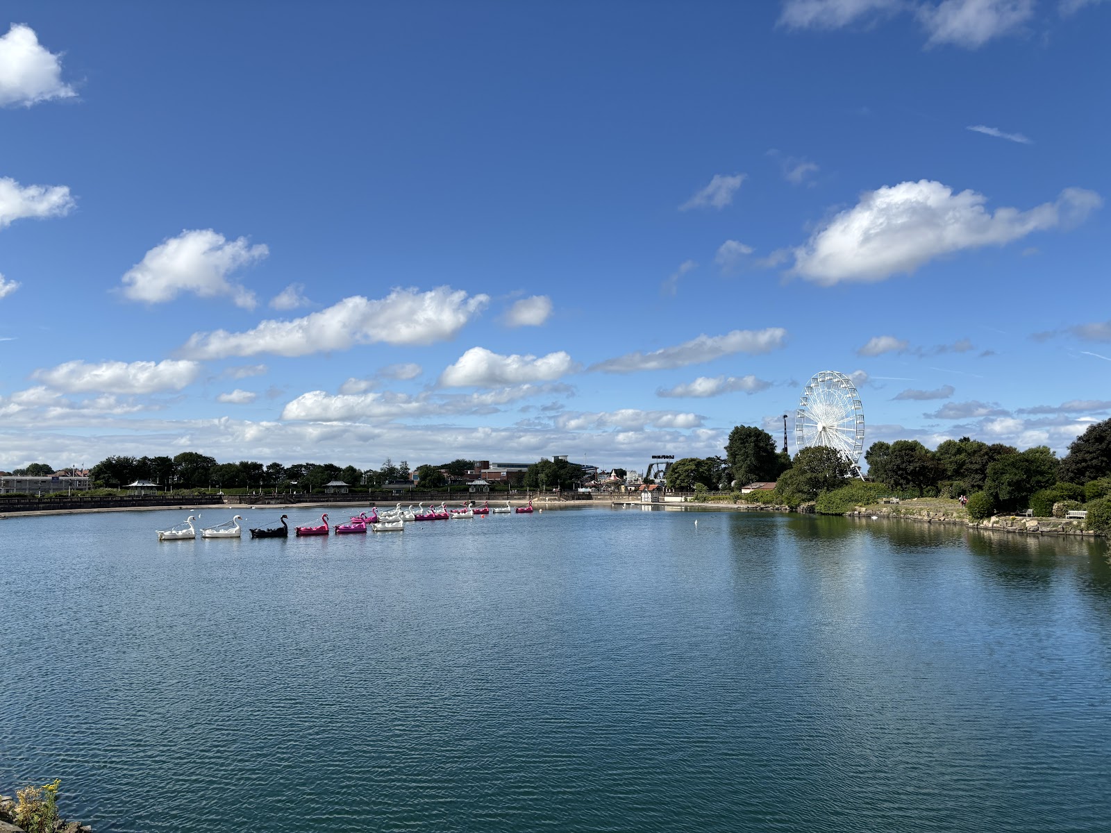 Marine Lake