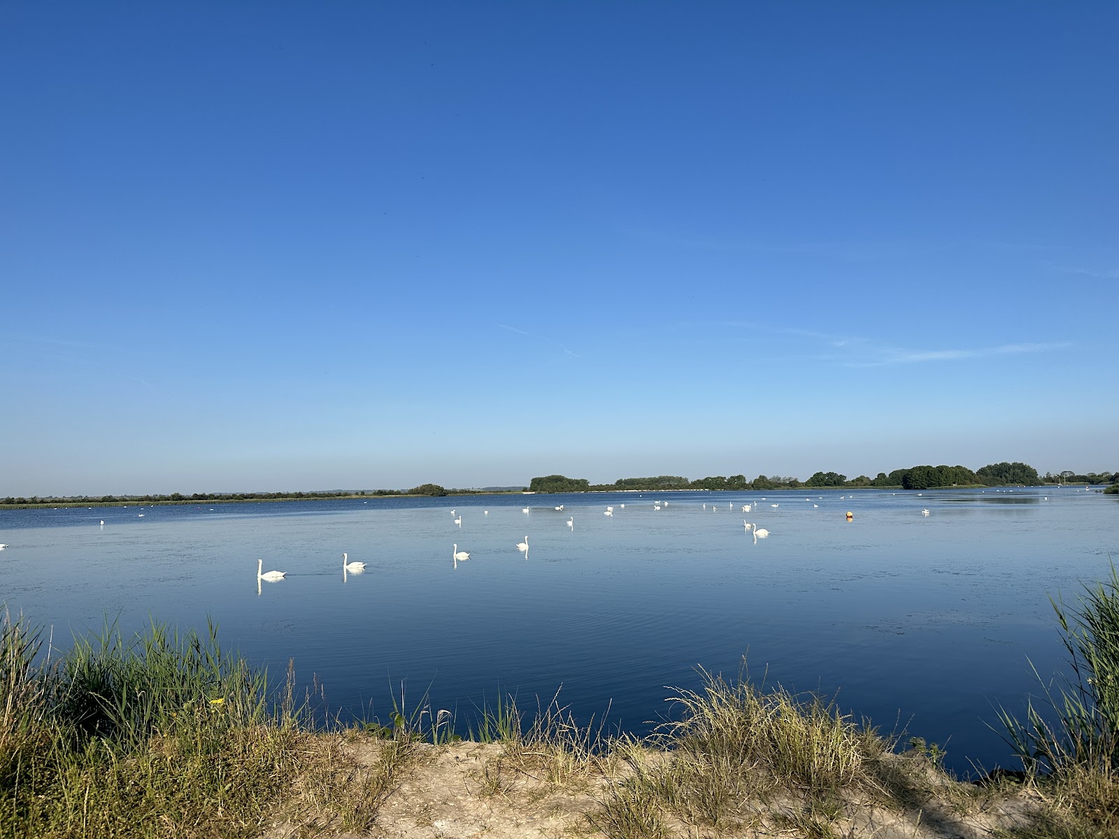 Welton Wake & Ski Club