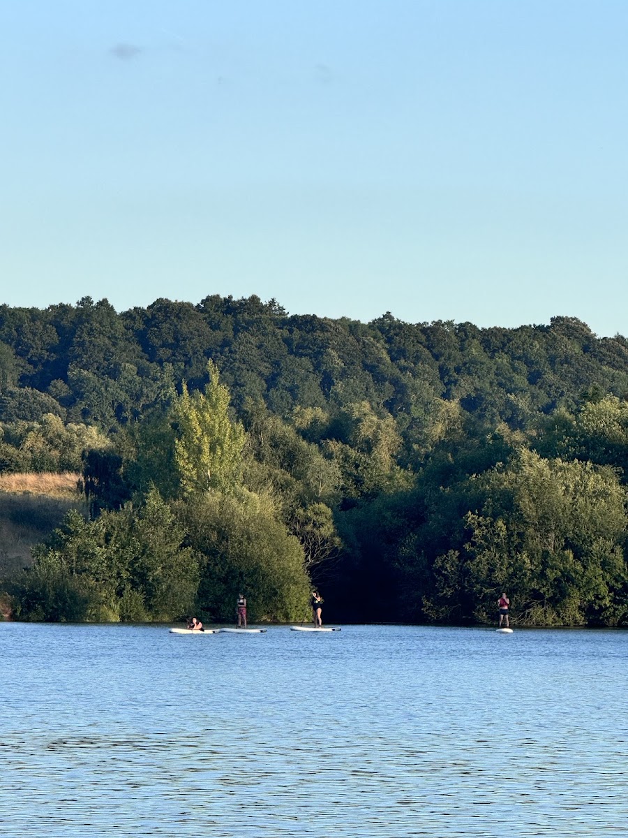Watersedge