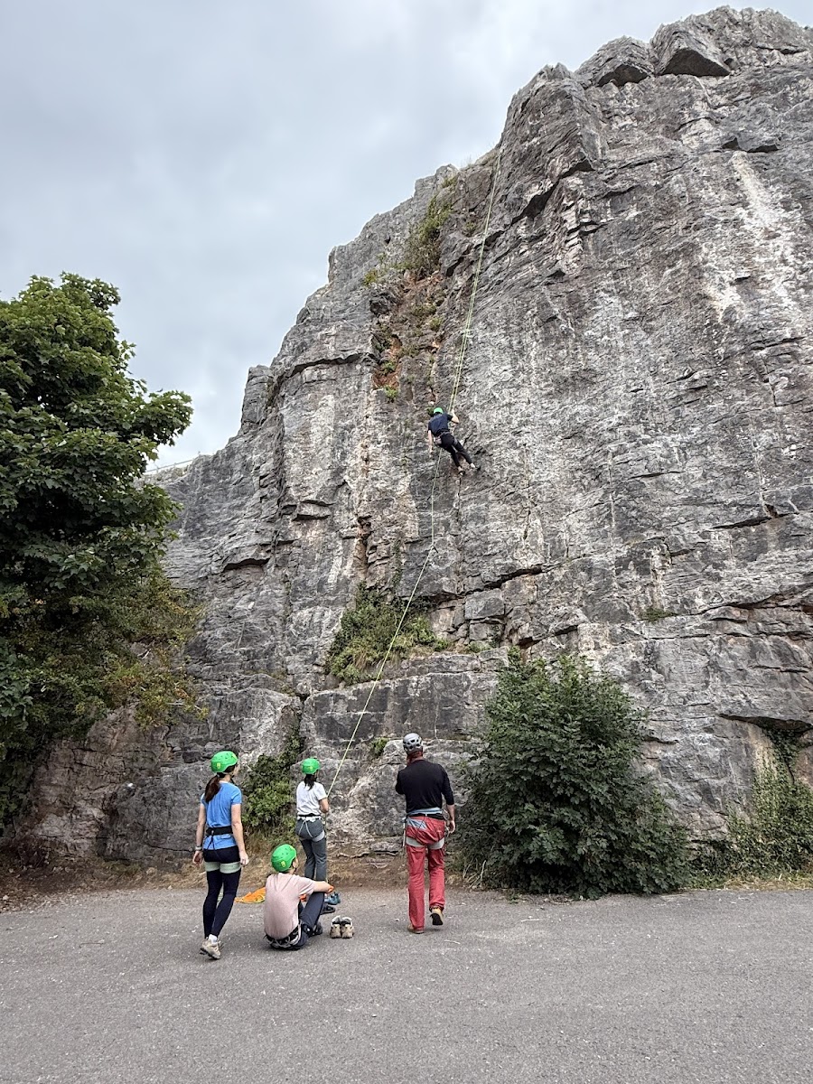 GO Vertical