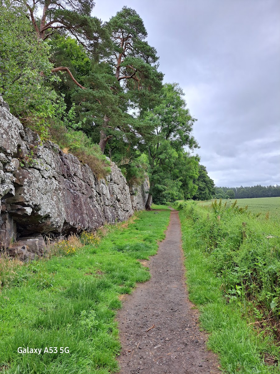Bennybeg climbing wall