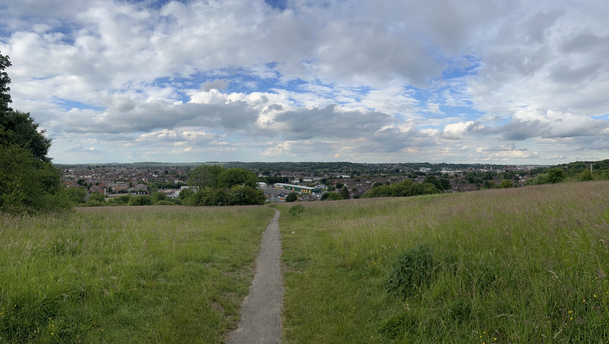 Dallow Downs & Runley Wood