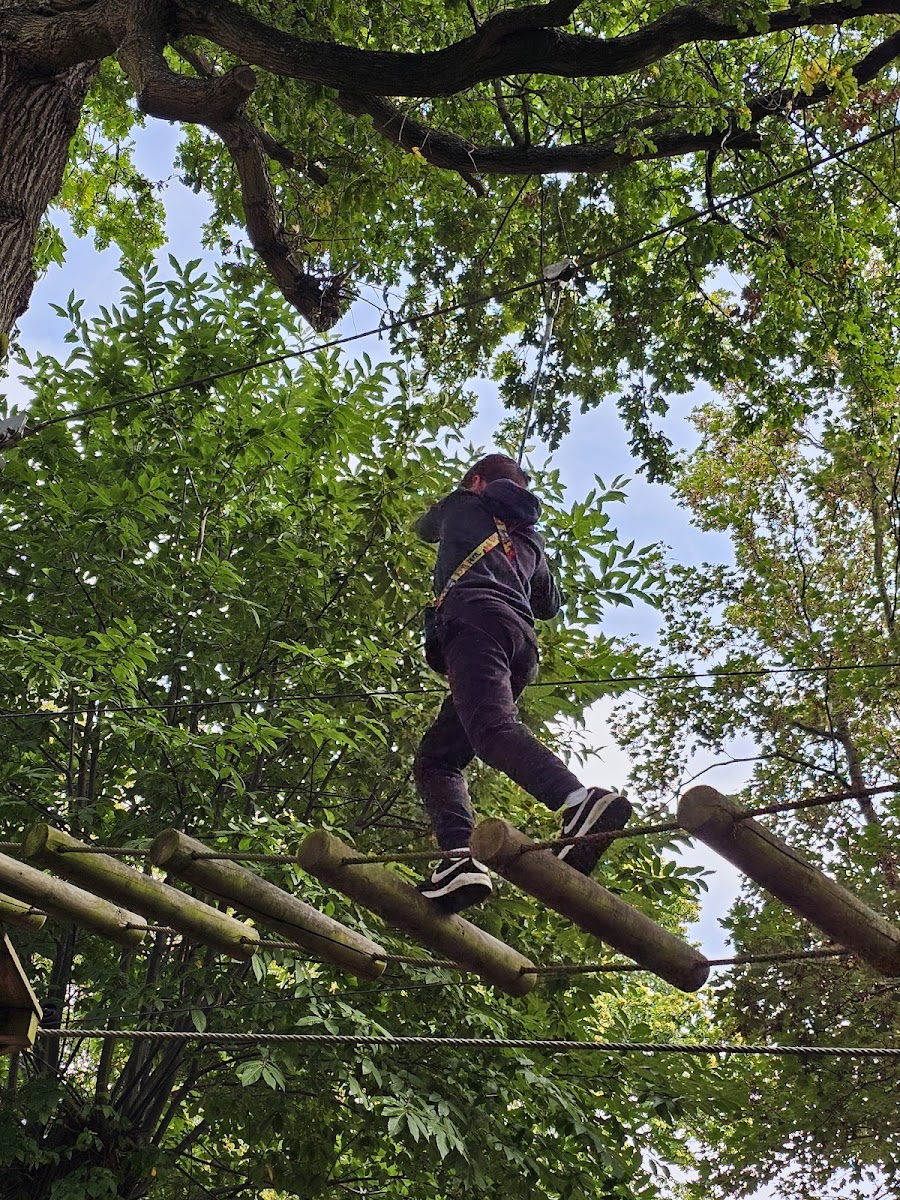 High Ropes at The Oakwood