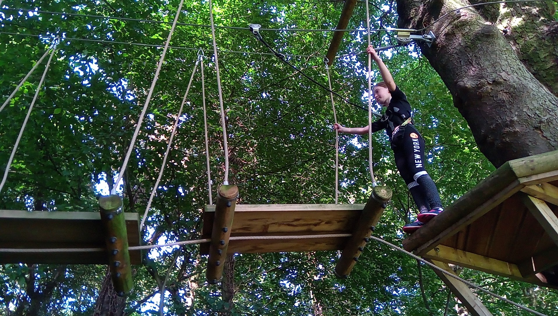 Arial Trail