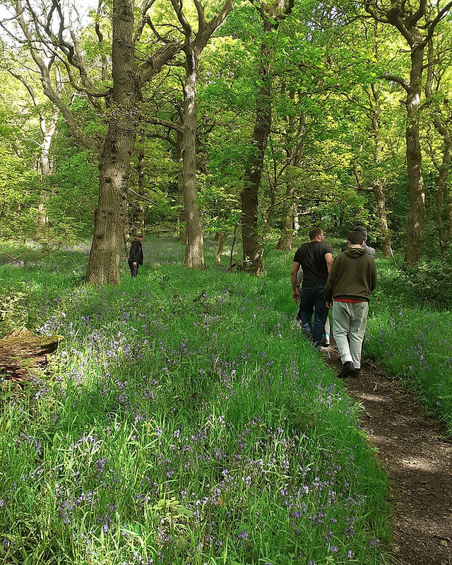 Eden's Forest CIC