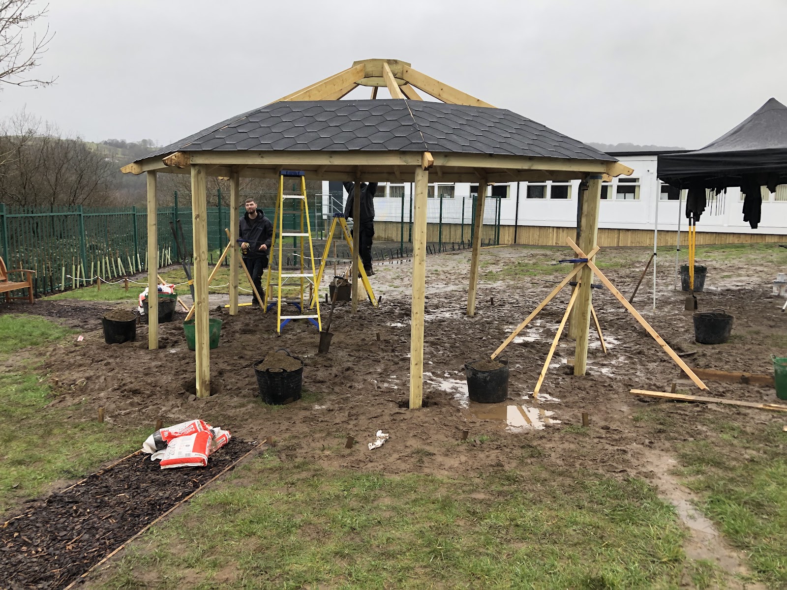 Precision Timber Ltd