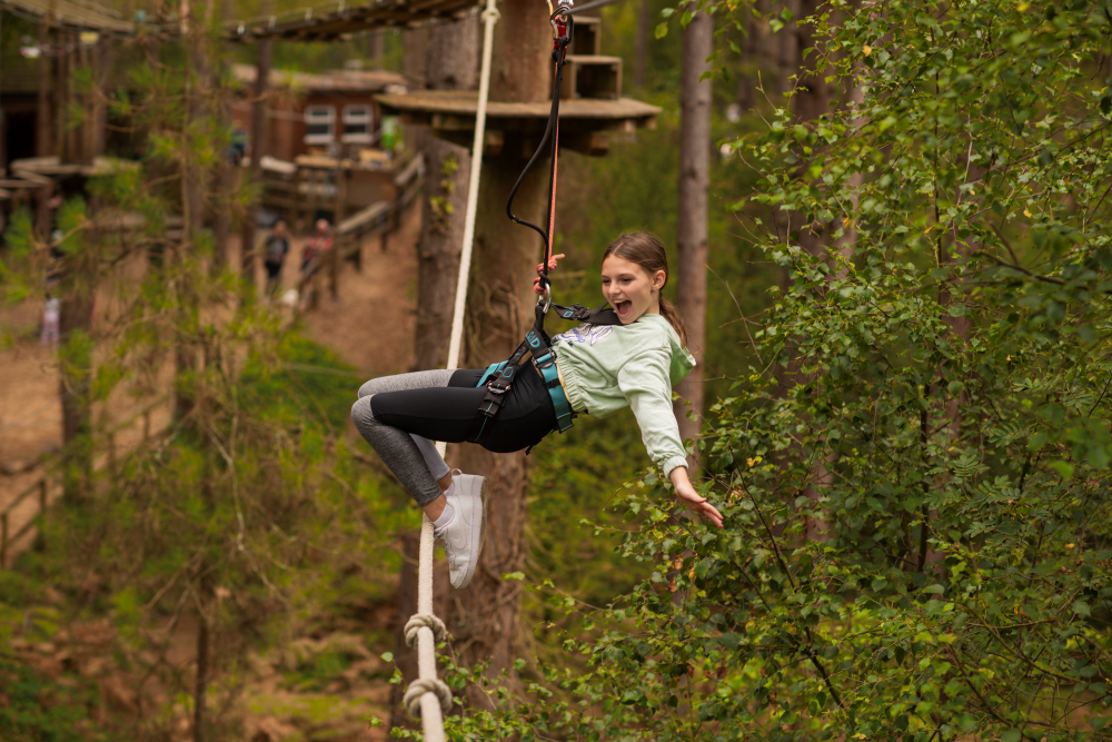 Go Ape Salcey Forest