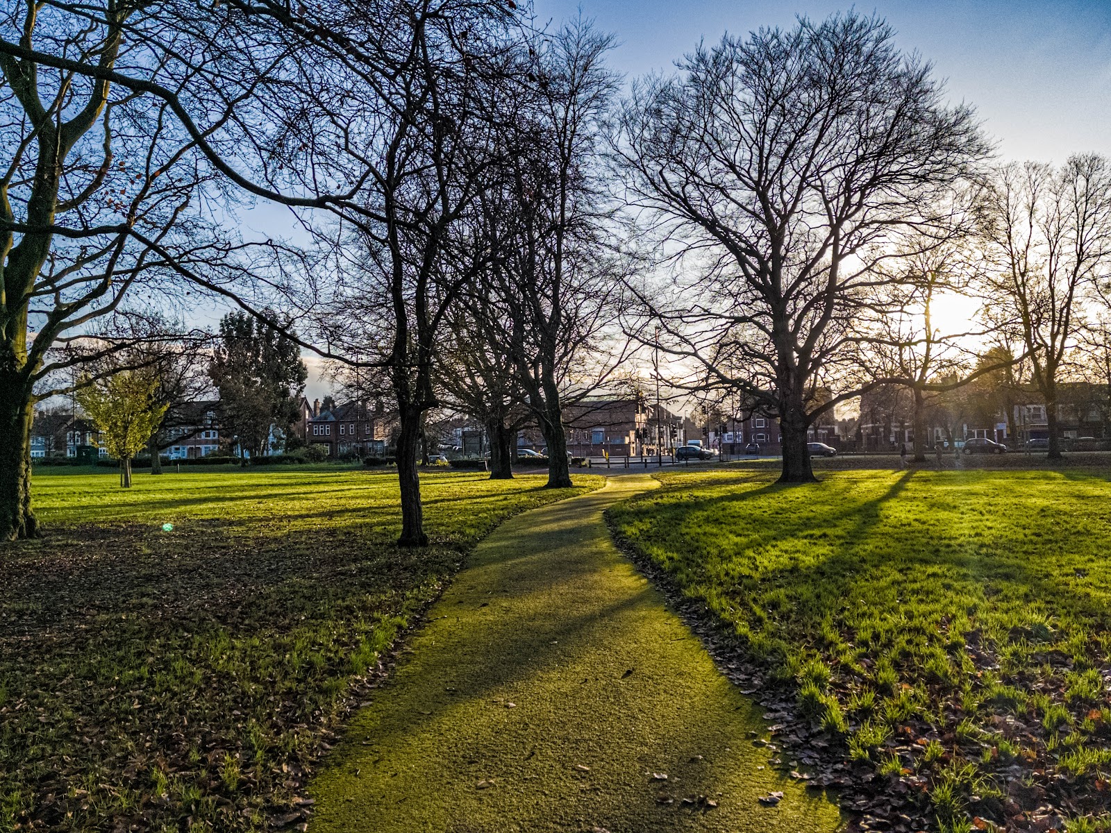 Gosford Green