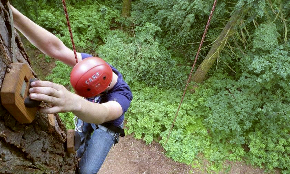 ExTREEme Adventure