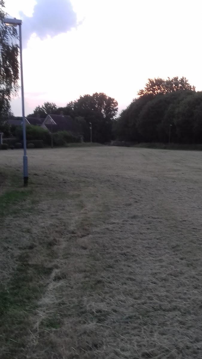 Play area
