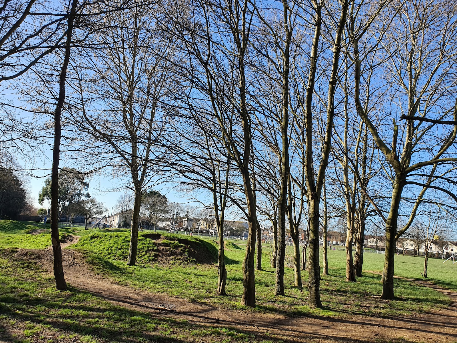 Kingston Park
