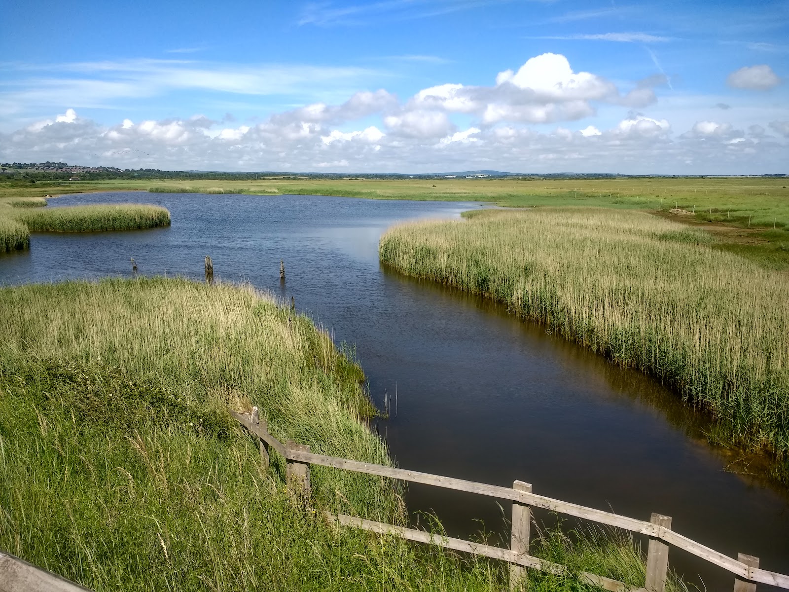 Farlington Marshes Nature Reserve