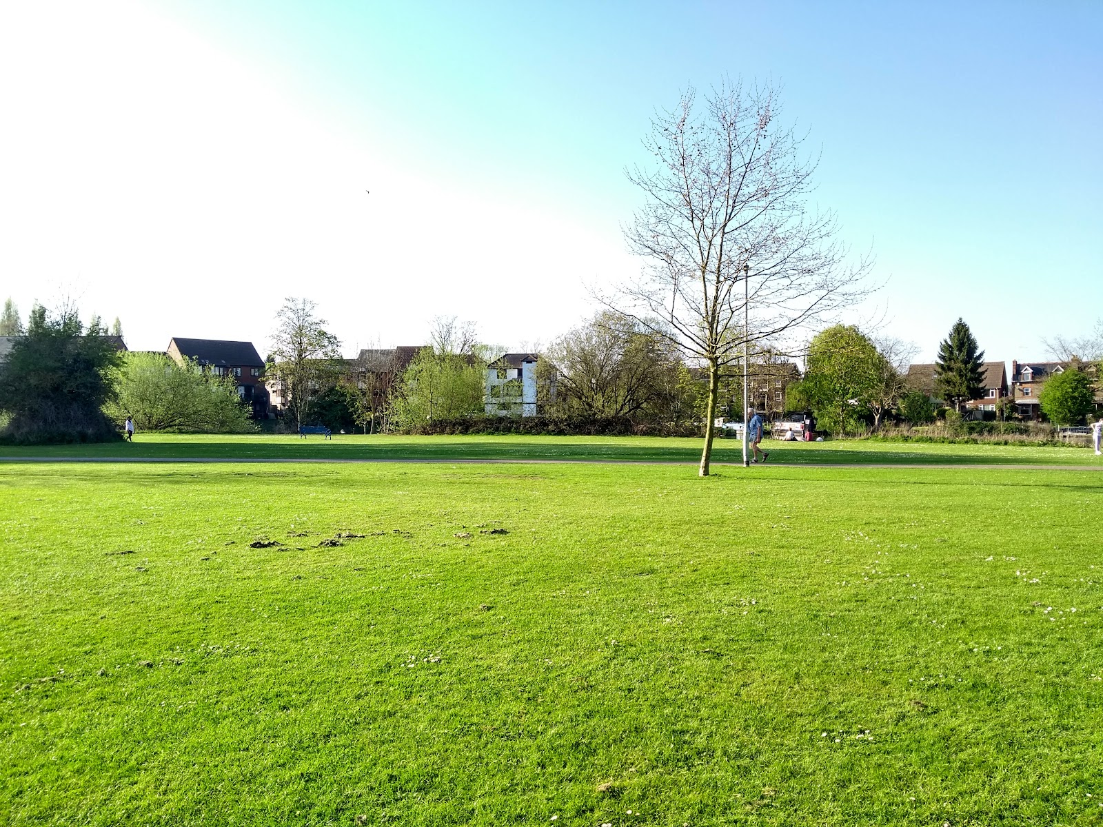 Kings Meadow
