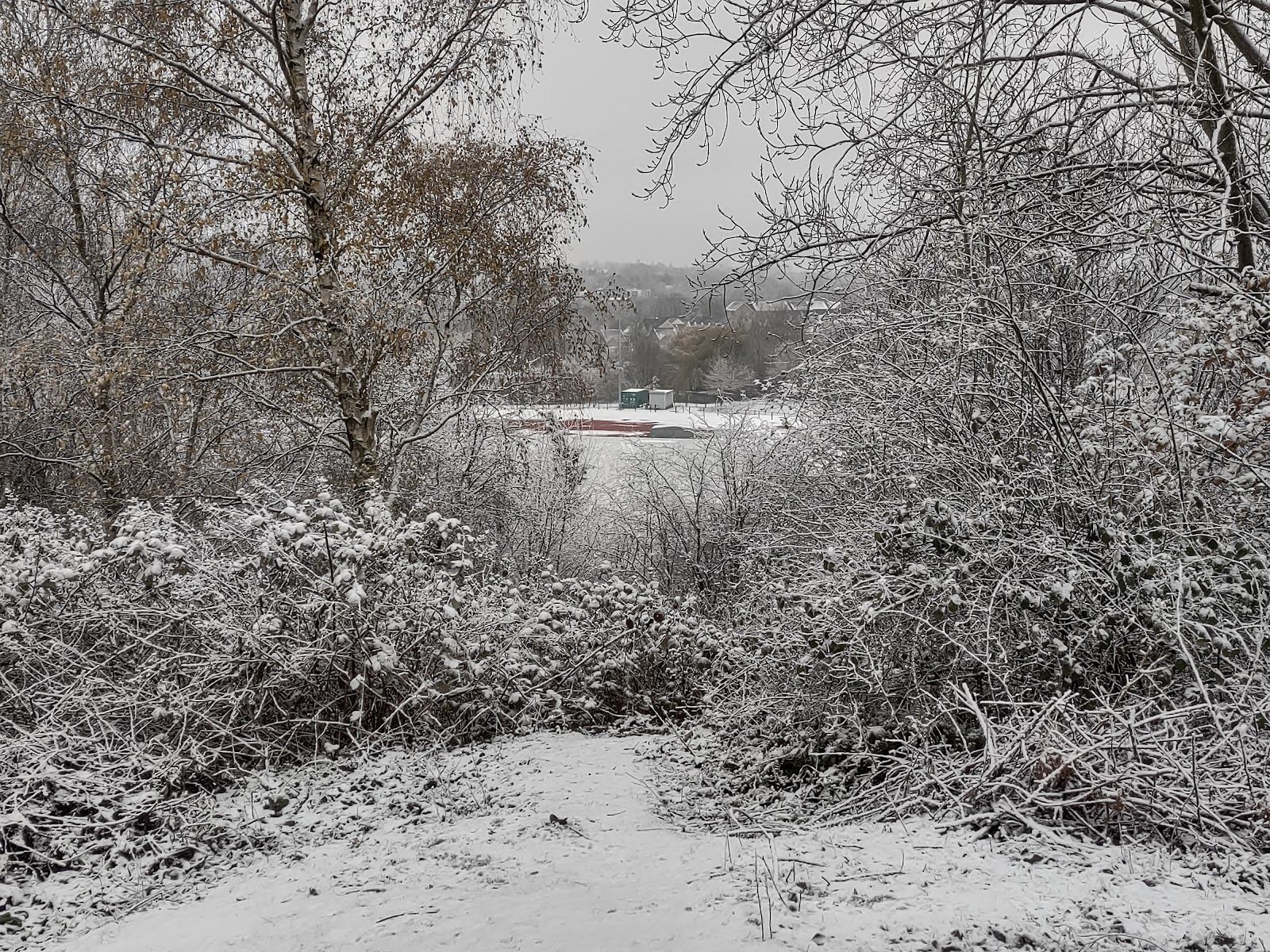 The Old Uxbridge Ski Slope