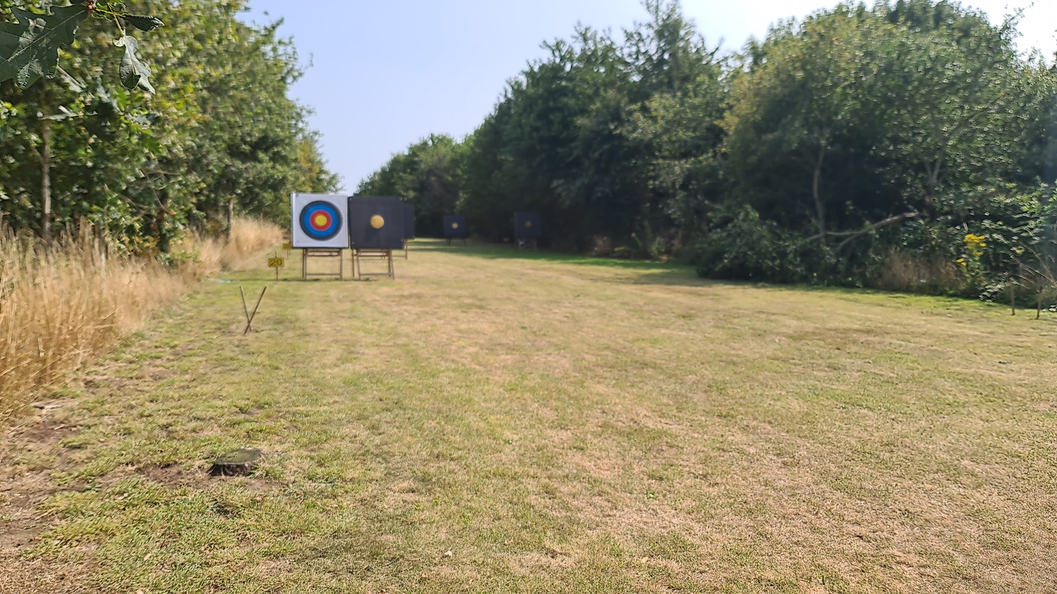 William's Wood Archers