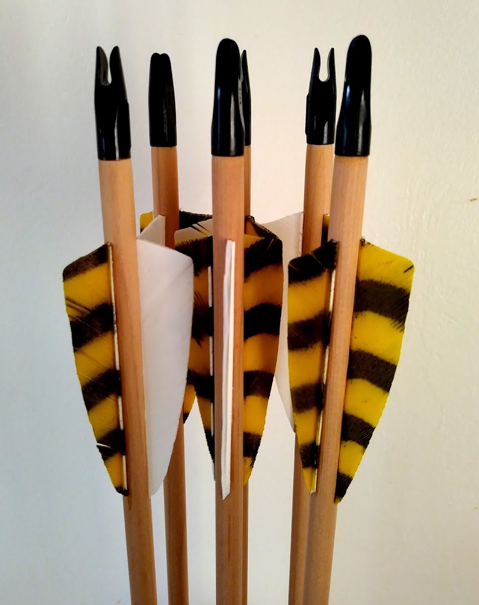 Shire Archery