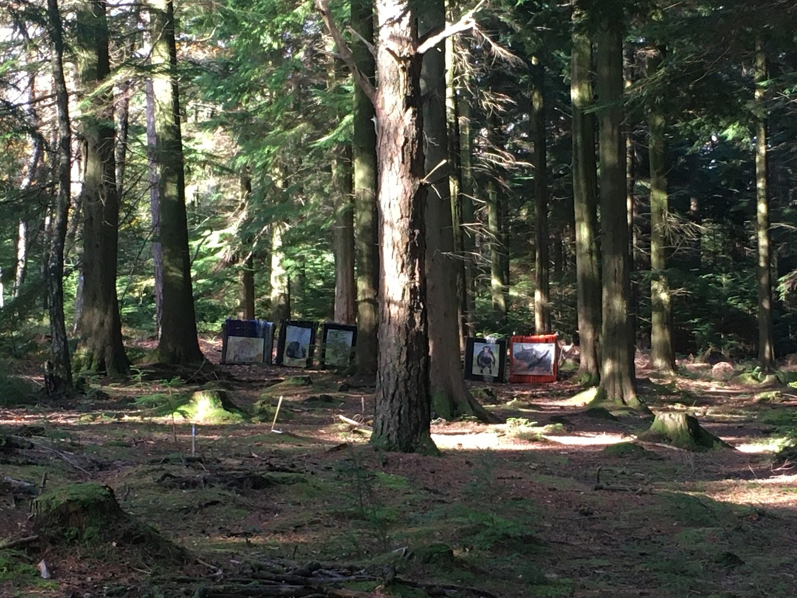 Ashcombe Valley Archers