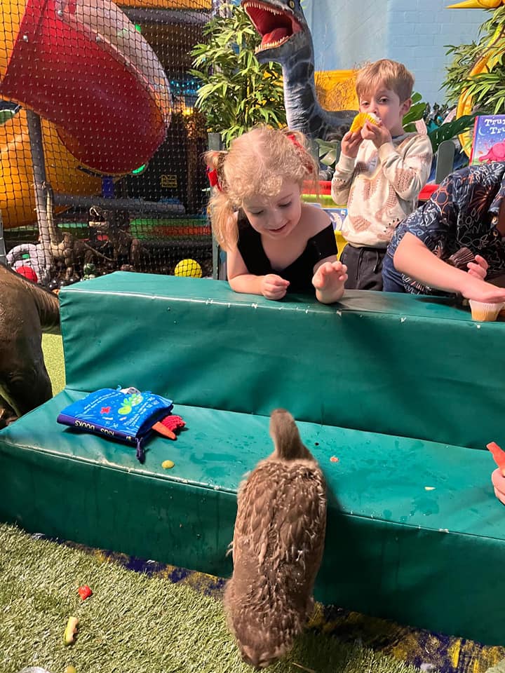 Wild and Free Adventure Playground