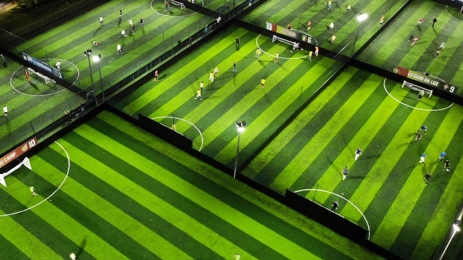 Goals Bradford