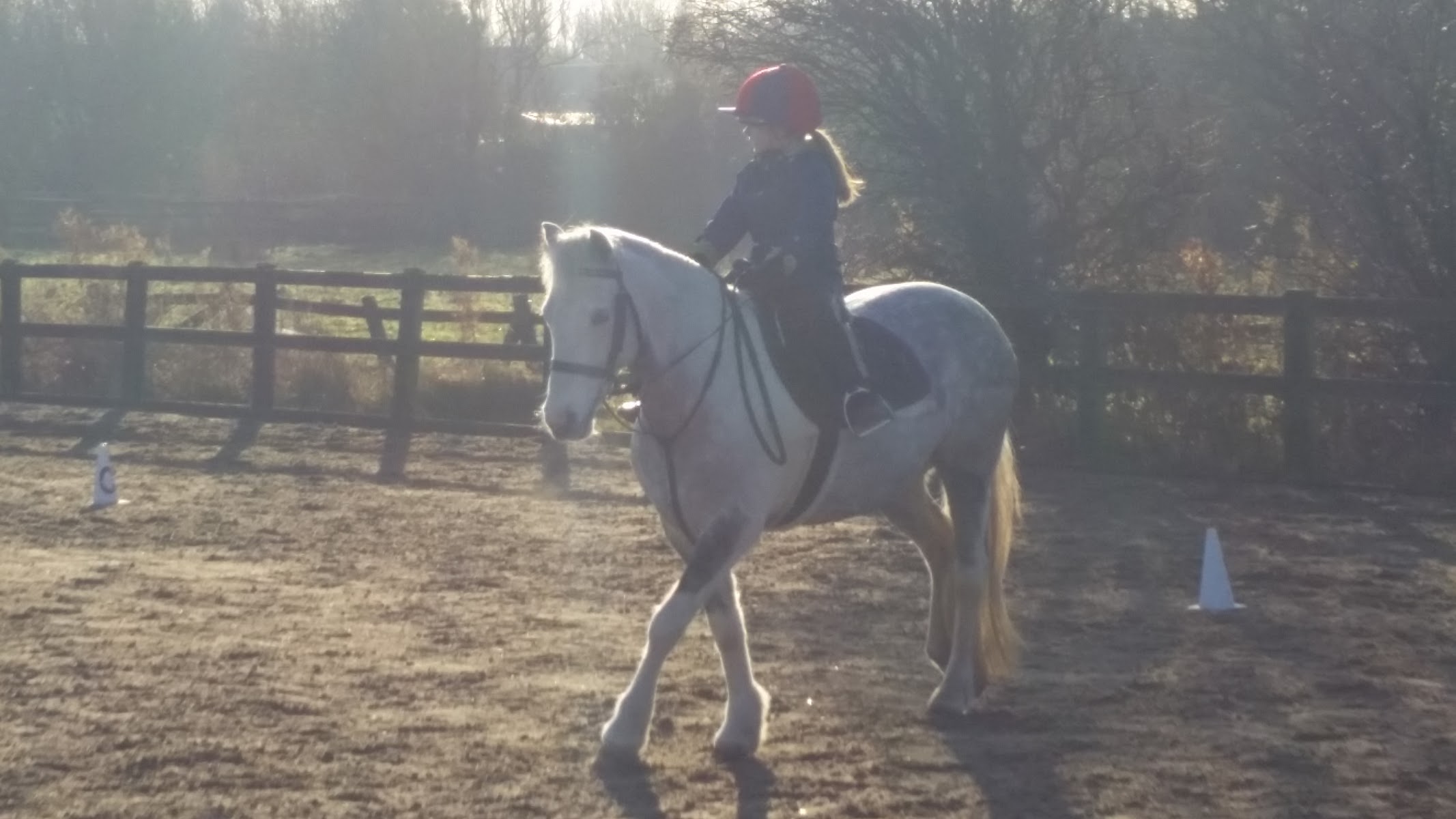 Elizabeth Stables