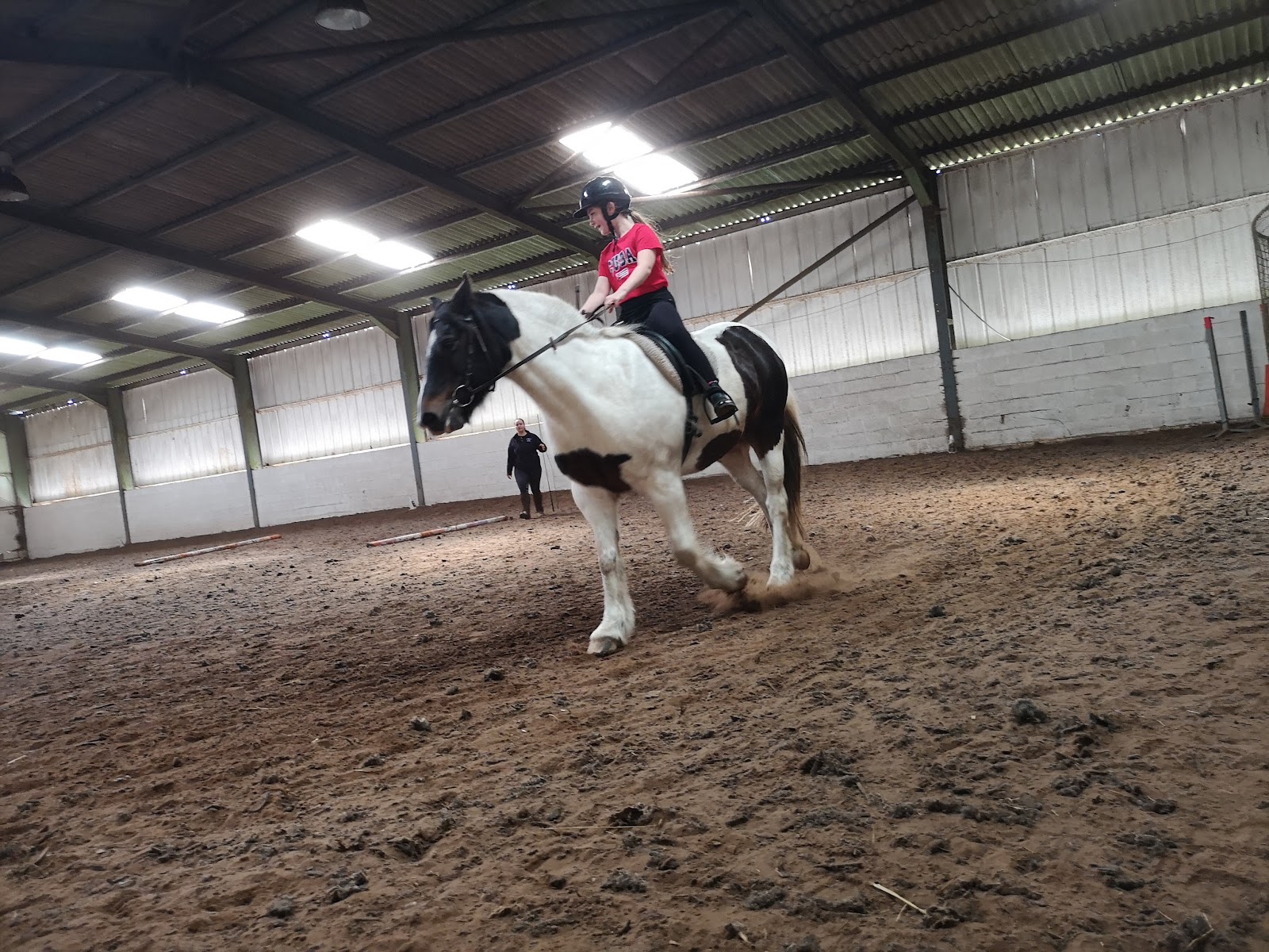 Barton Equestrian Centre