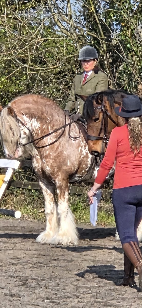 Pauls Farm Stables