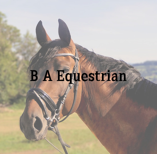 BA Equestrian